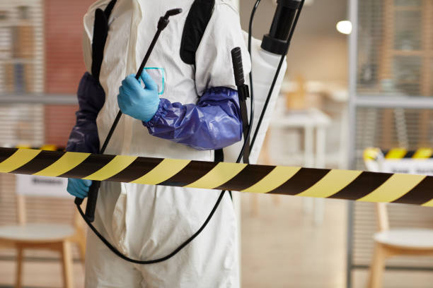 Professional Hoarding Cleanup technician working in Long Barn, CA